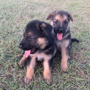 Meet your Posher, Maribel